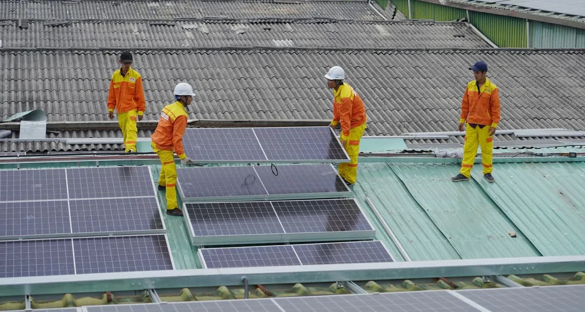 Grandes integradores e EPCs